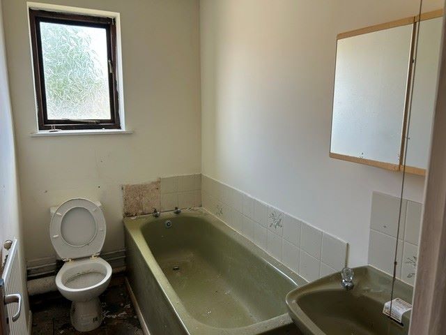 Image 10 of 12