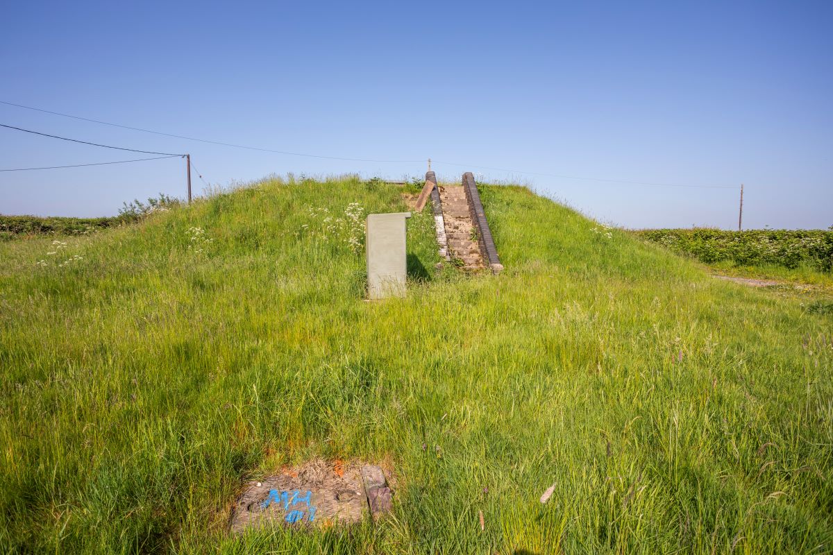 Image 5 of 10