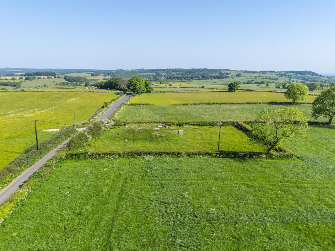 Image 7 of 10