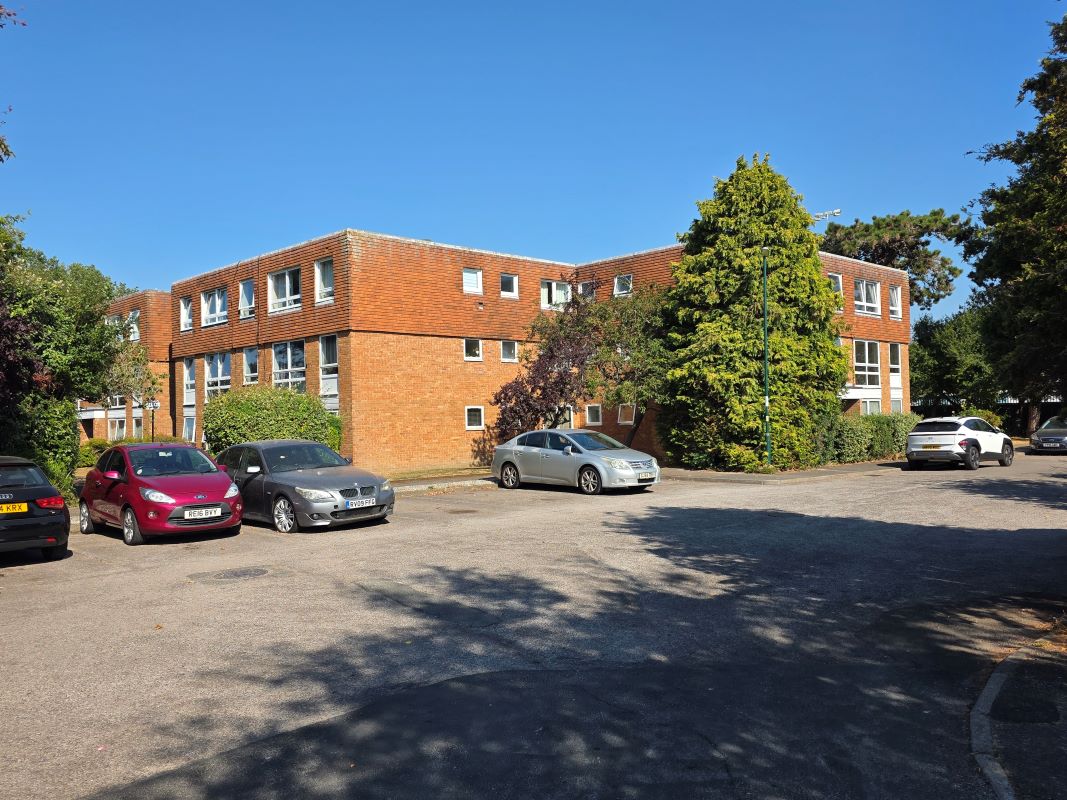 Image 2 of 14