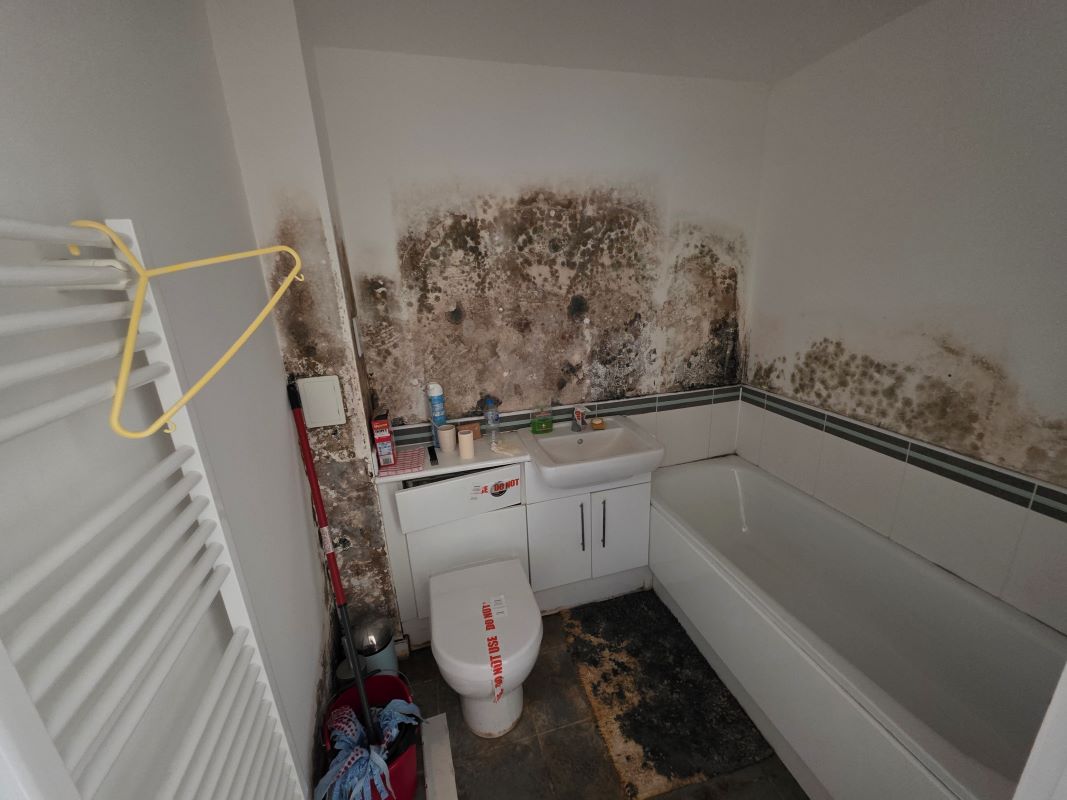 Image 10 of 10