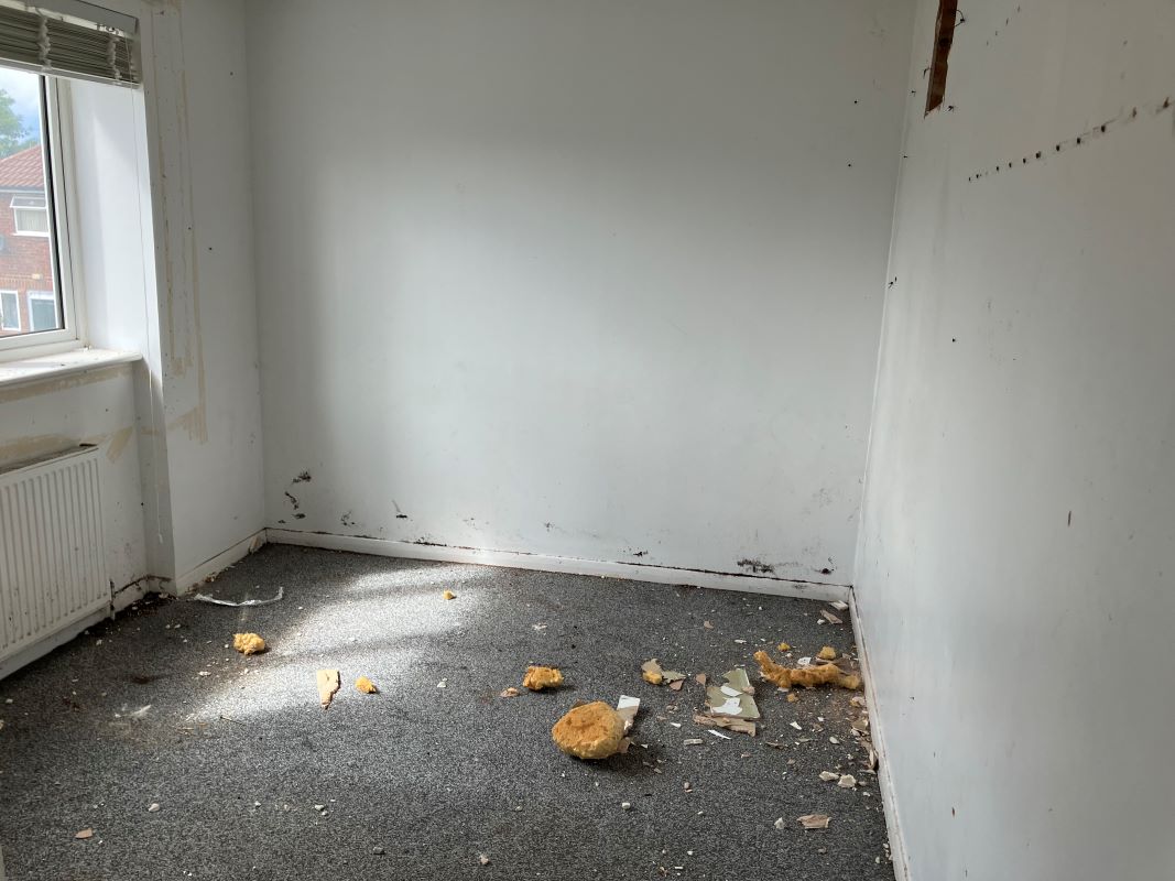 Image 7 of 11