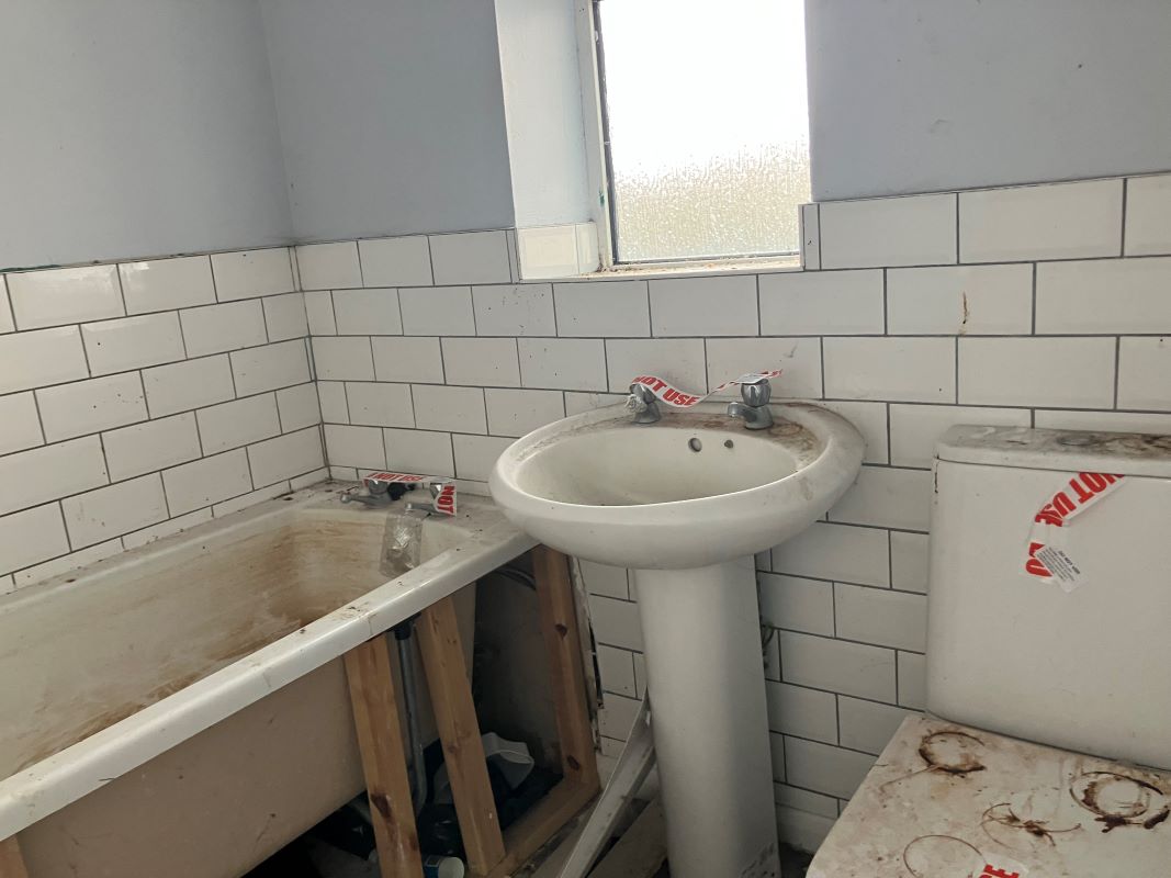 Image 10 of 11