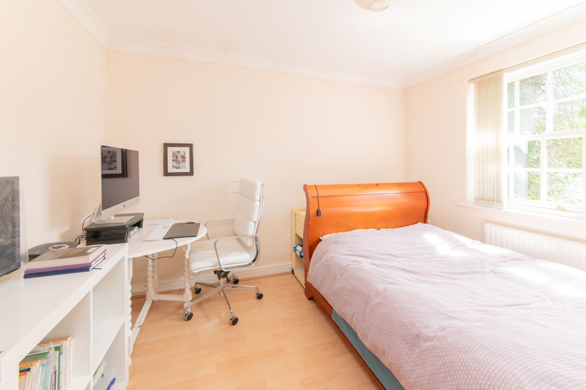 Image 19 of 20
