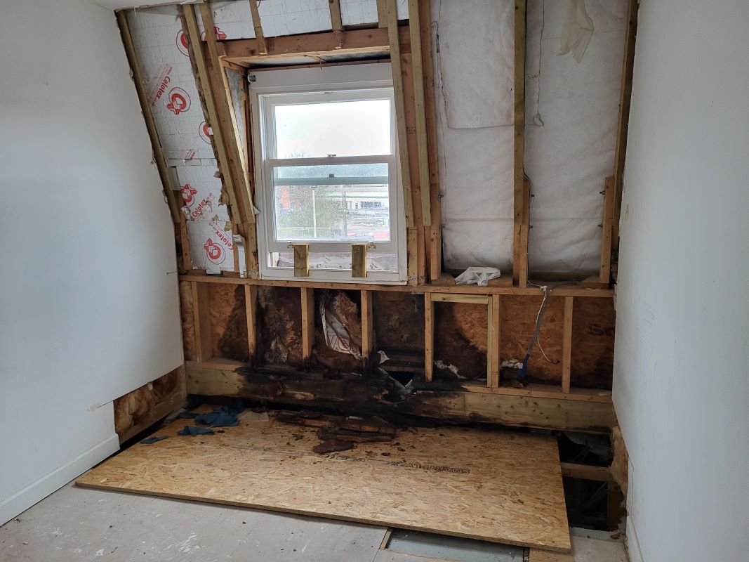 William Tarrant House, Cowley Bridge Road, Exeter, Devon, EX4 4GS