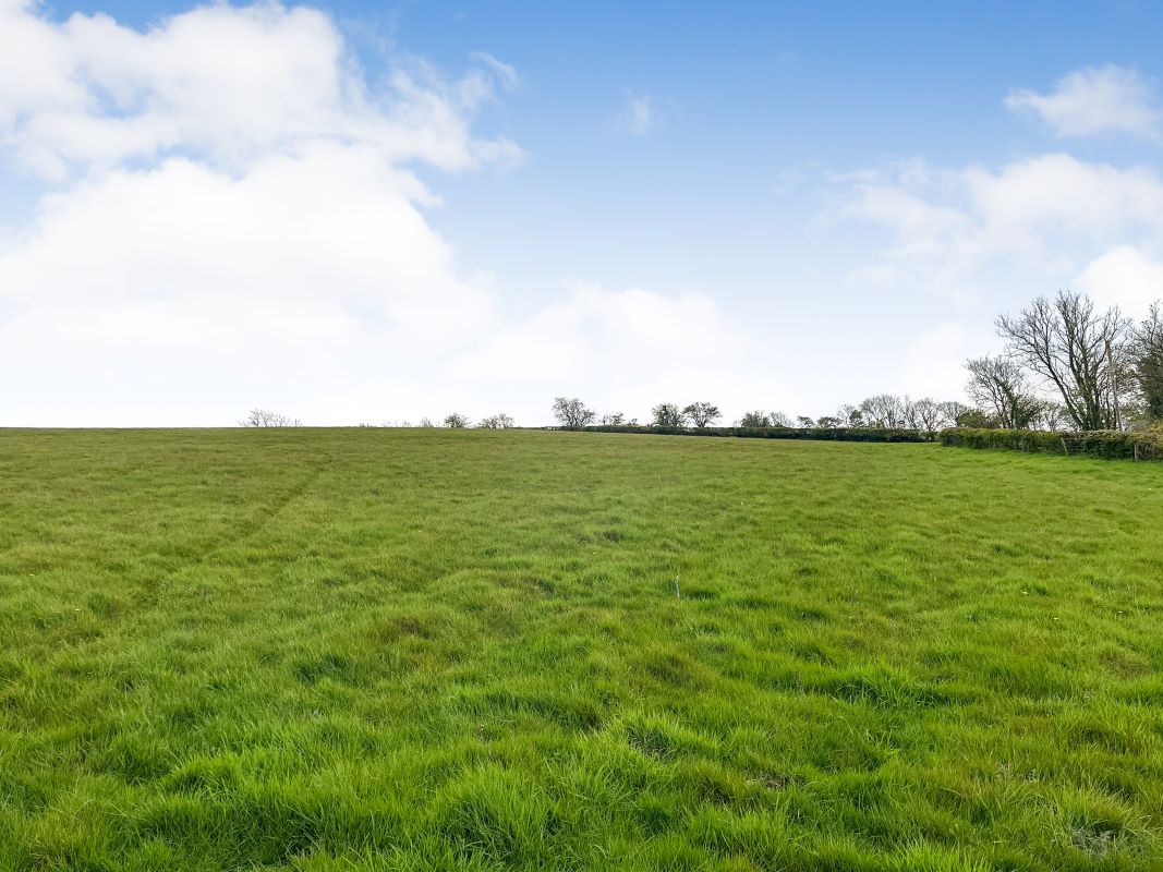 6.05 acres at Bron Y Geifr, Van, Llanidloes, Powys, SY18 6NQ