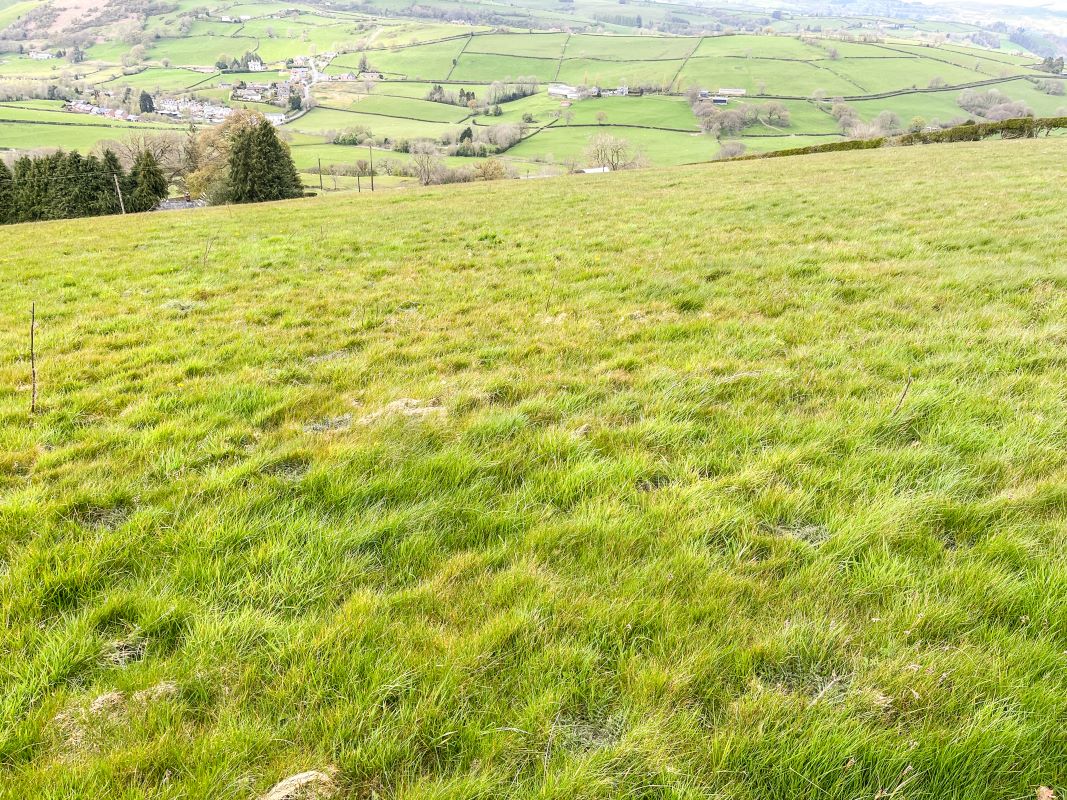 6.05 acres at Bron Y Geifr, Van, Llanidloes, Powys, SY18 6NQ