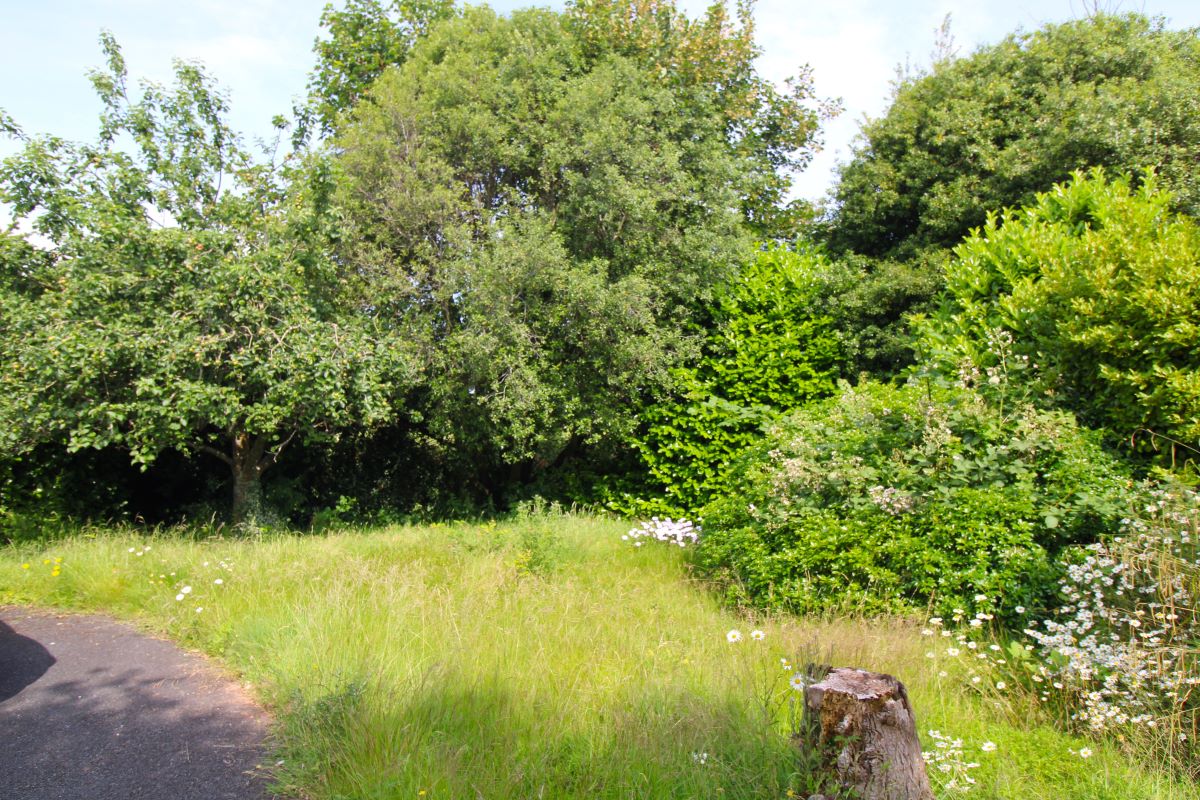 Dell Cottage, Brixham Road, Paignton, Devon, TQ4 7BH