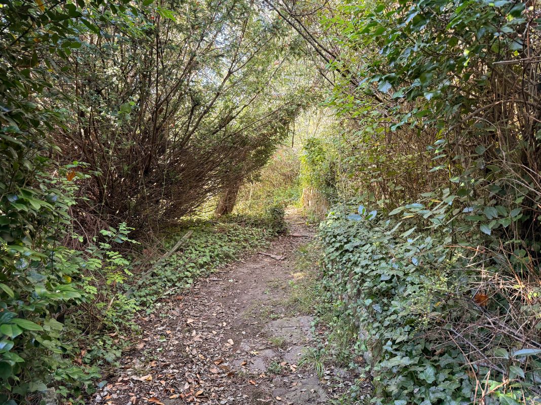 1 Finsbury Cottages, 65 School Green Road, Freshwater, Isle of Wight, PO40 9AU