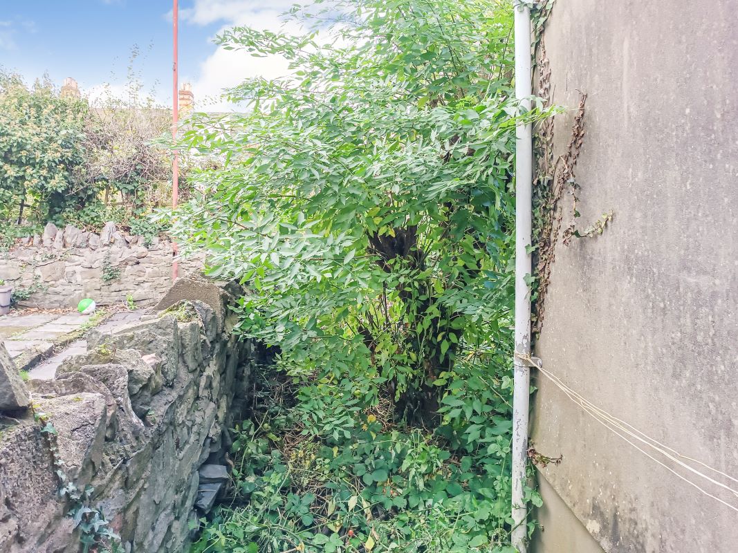 58 Minny Street, Cardiff, South Glamorgan, CF24 4ET