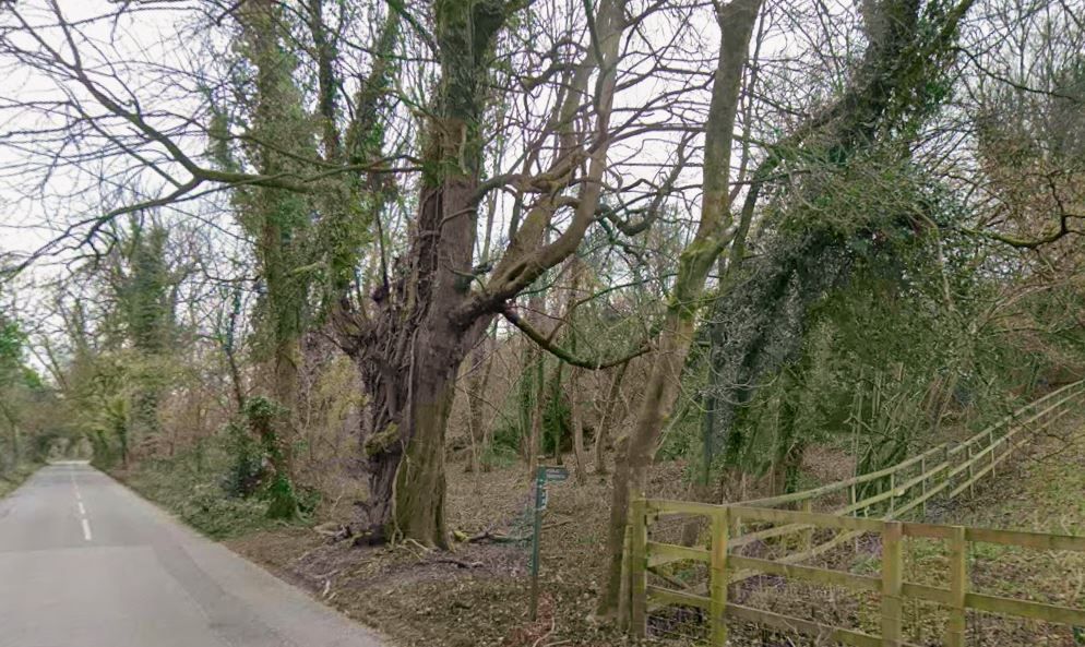 Land to the north west of Limekiln Farm, Ranmore Common, Dorking, Surrey, RH5 6SS