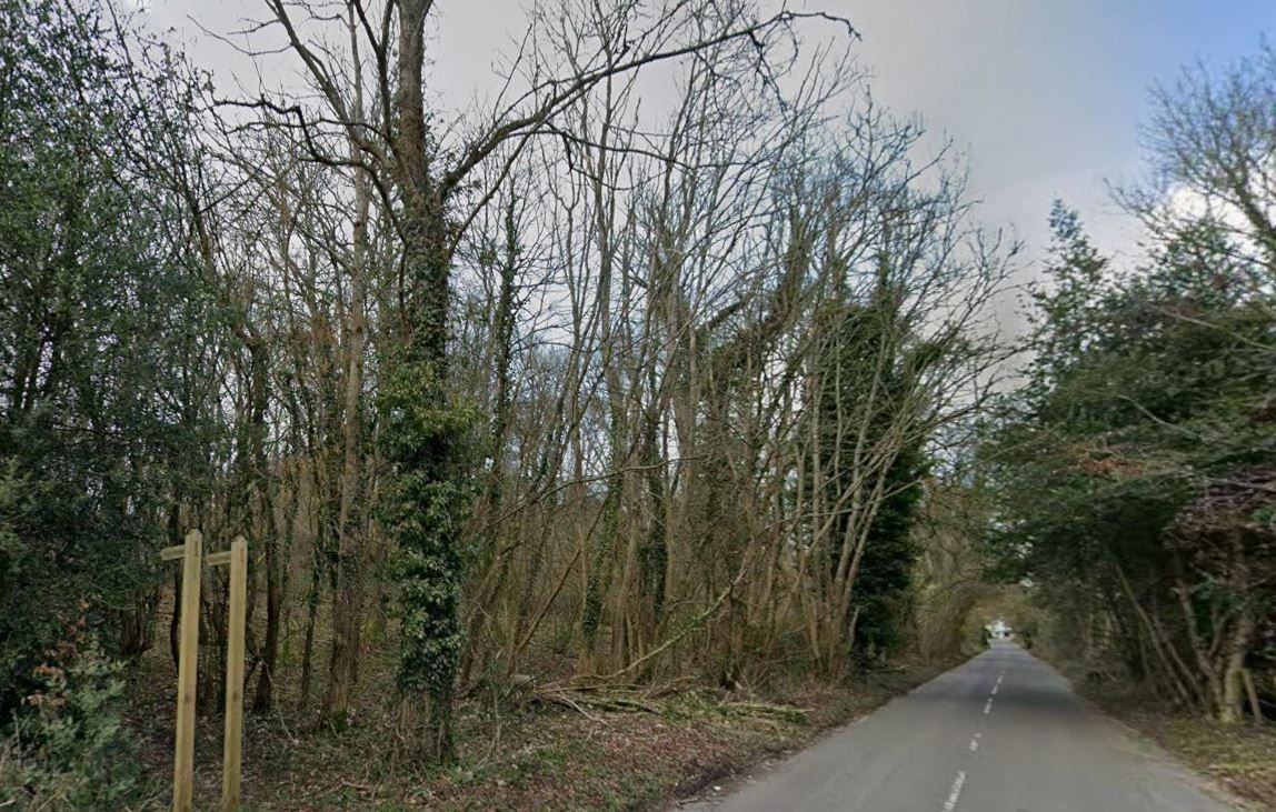 Land to the north west of Limekiln Farm, Ranmore Common, Dorking, Surrey, RH5 6SS