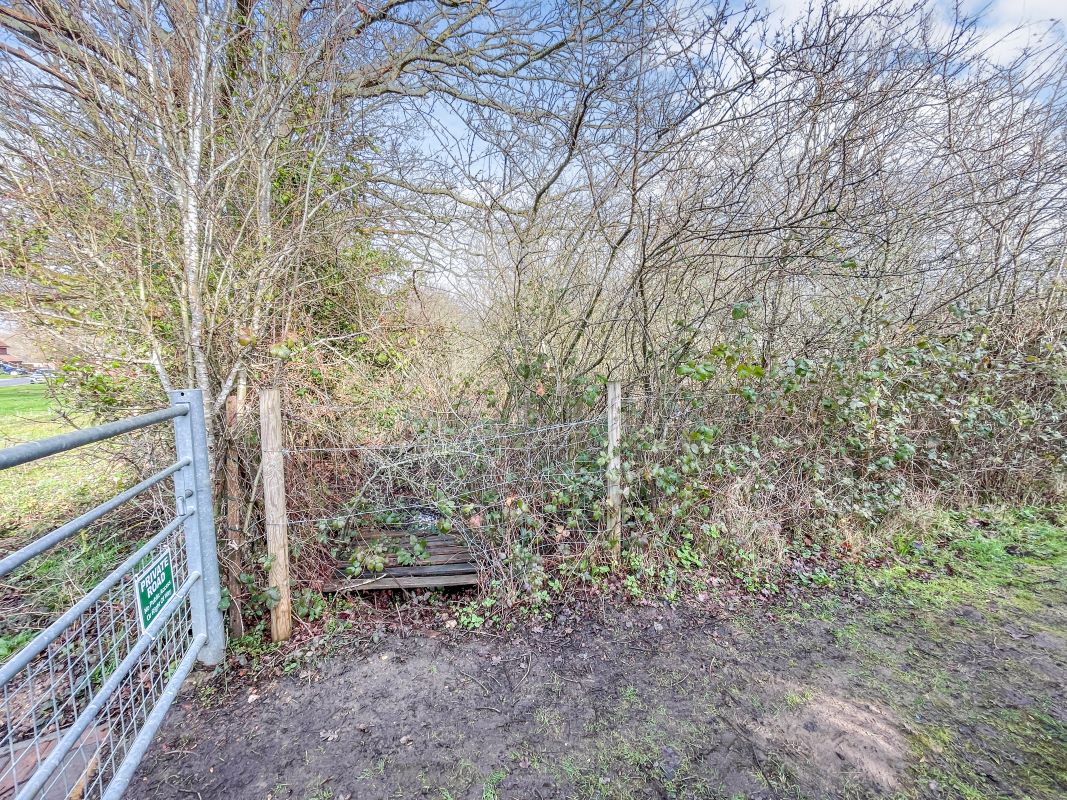 Land adjacent to Shepherds Cottage, Ockham Road North, West Horsley, Leatherhead, Surrey, KT24 6PE