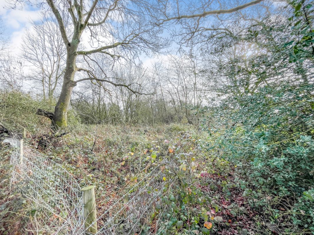 Land adjacent to Shepherds Cottage, Ockham Road North, West Horsley, Leatherhead, Surrey, KT24 6PE