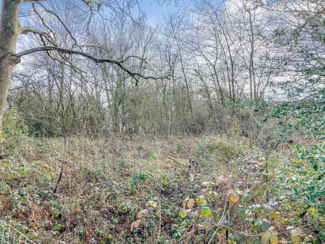 Land adjacent to Shepherds Cottage, Ockham Road North, West Horsley, Leatherhead, Surrey, KT24 6PE
