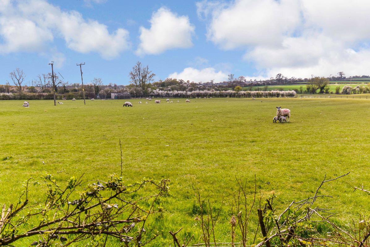 Lot 3 Property Network Auctions