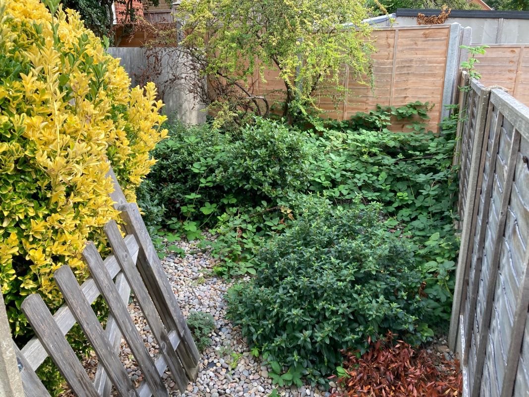 Lot 47 Property Network Auctions