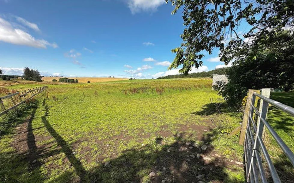 Lot Image