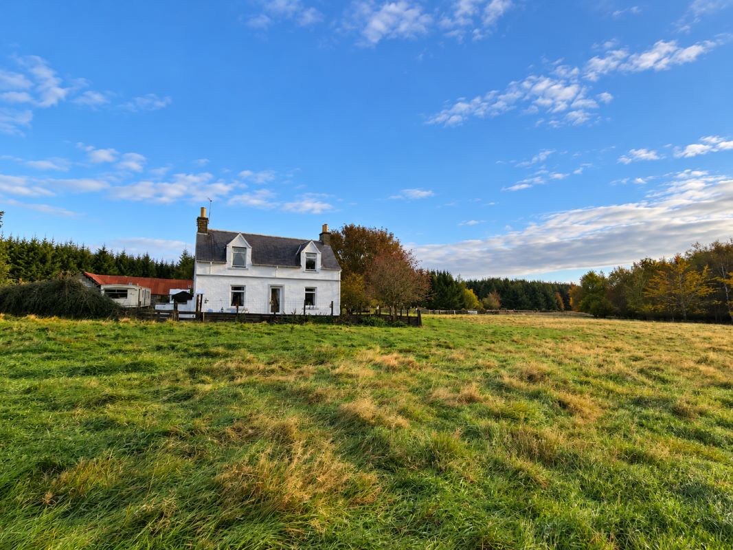 Lot Image