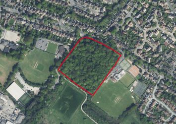 Freehold woodland in Solihull