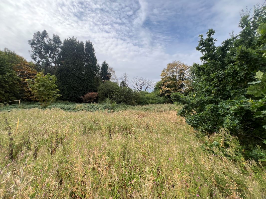Freehold parcel of Land situated off Skip Lane, Walsall