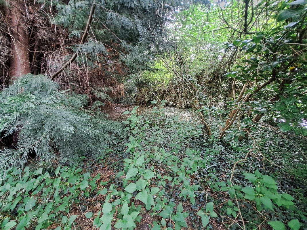 1 Orwell Close, Stourbridge, West Midlands, DY8 3JS