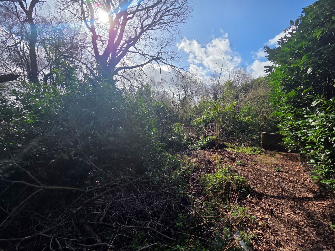Land On The North Side, Of Fockbury Mill Lane, Dodford, Worcestershire, B61 9BA