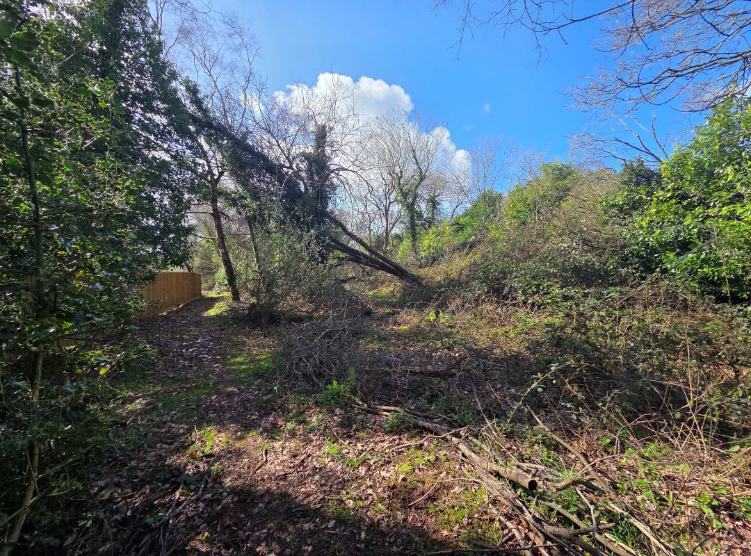 Land On The North Side, Of Fockbury Mill Lane, Dodford, Worcestershire, B61 9BA