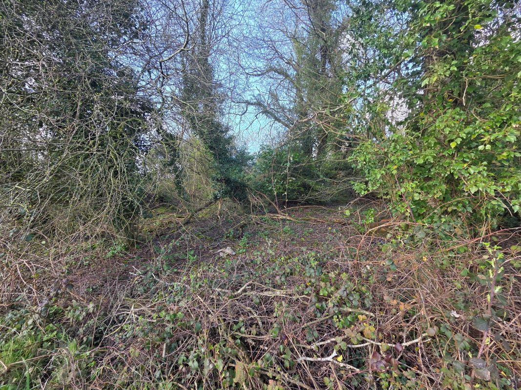 Land On The North Side, Of Fockbury Mill Lane, Dodford, Worcestershire, B61 9BA