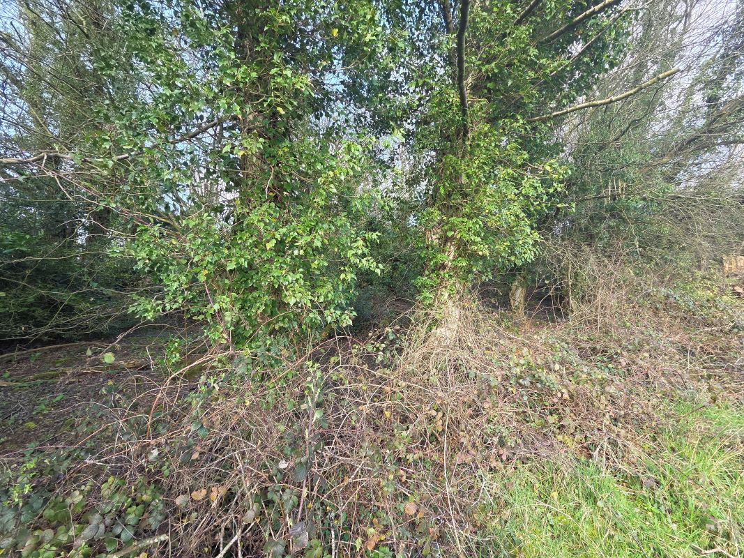 Land On The North Side, Of Fockbury Mill Lane, Dodford, Worcestershire, B61 9BA