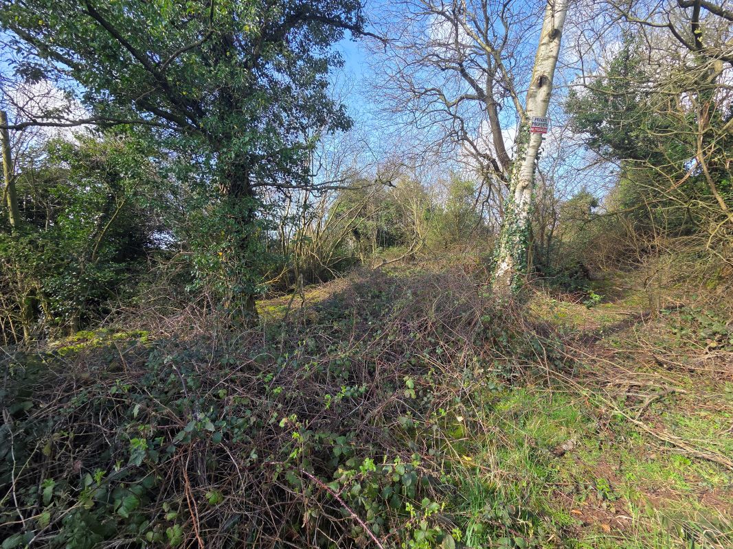 Land On The North Side, Of Fockbury Mill Lane, Dodford, Worcestershire, B61 9BA