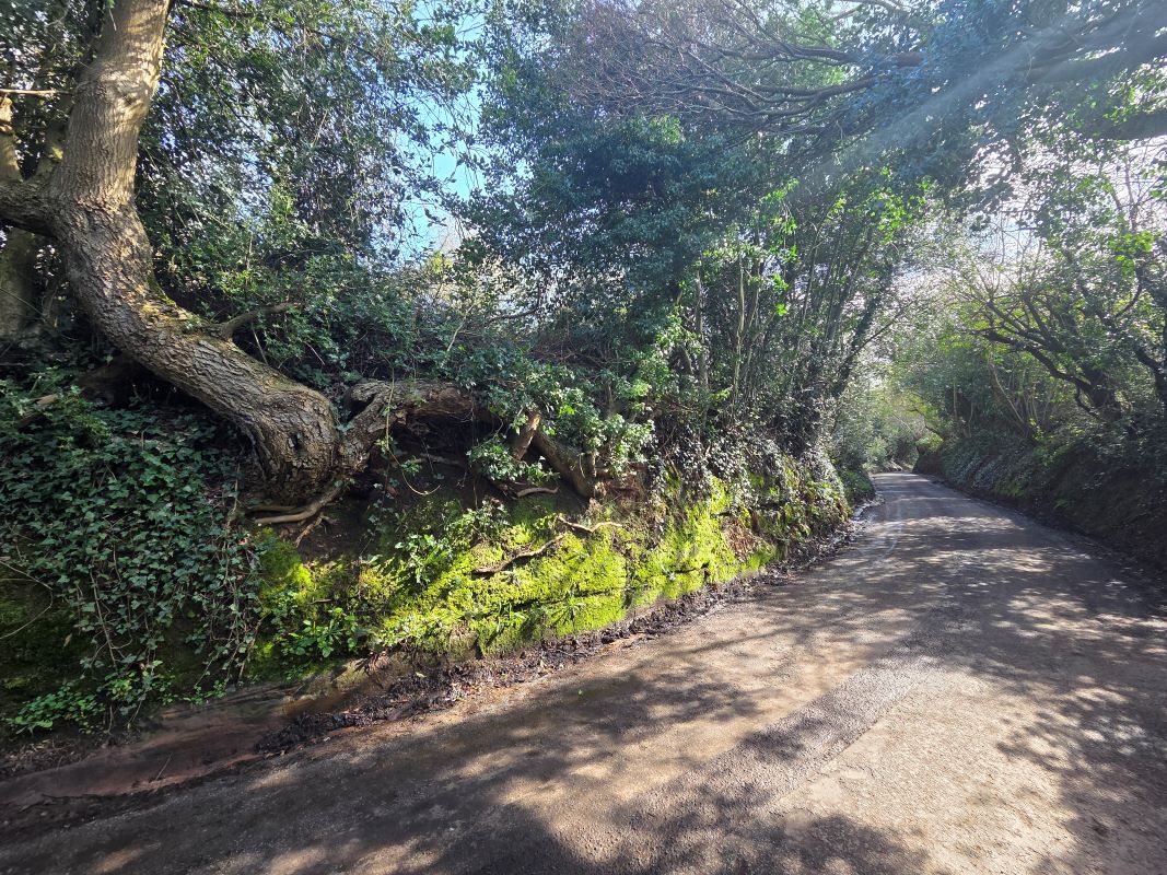 Land On The North Side, Of Fockbury Mill Lane, Dodford, Worcestershire, B61 9BA