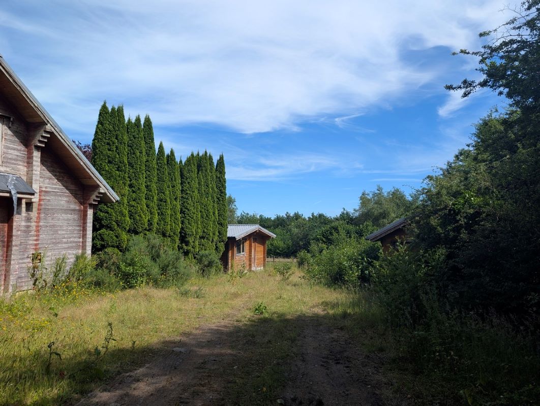 Lot Image