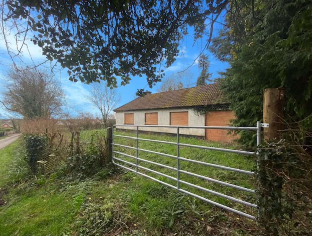 Lot Image