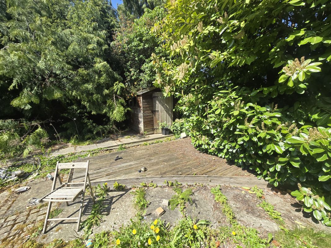 Lot Image