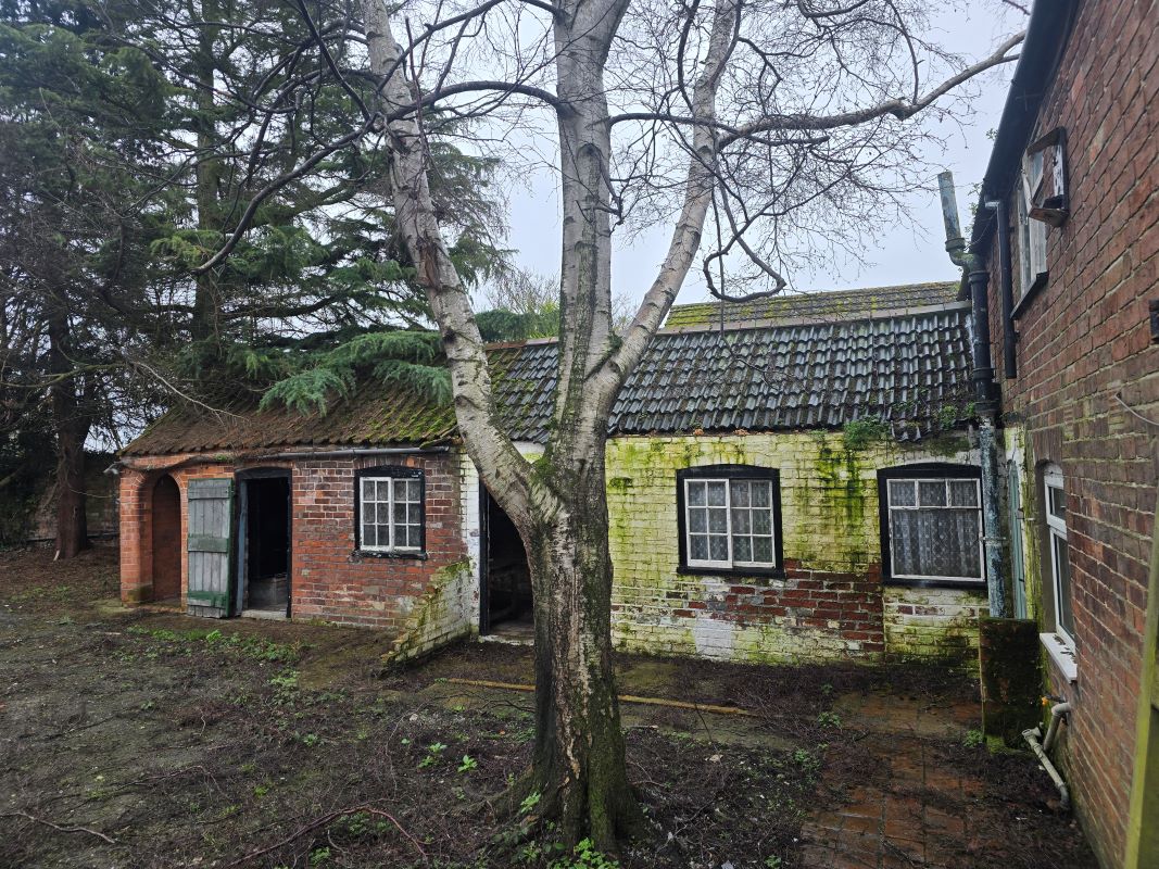 Lot Image