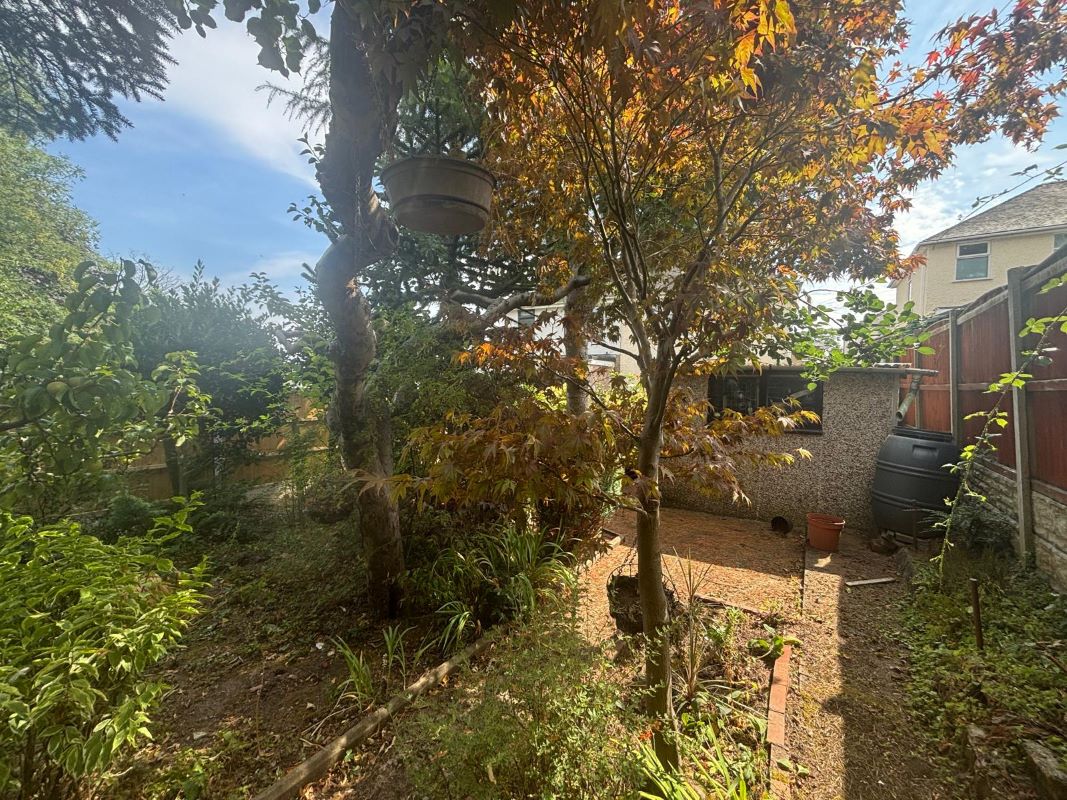 Lot Image