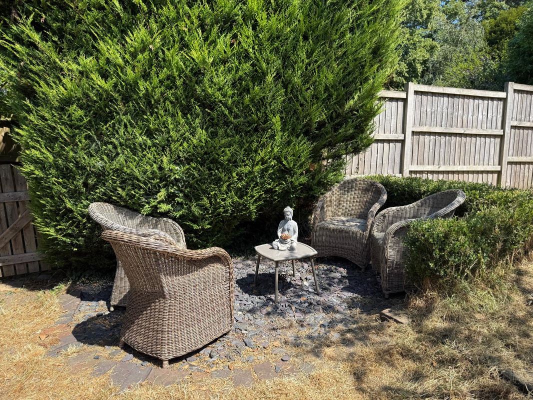 Lot Image