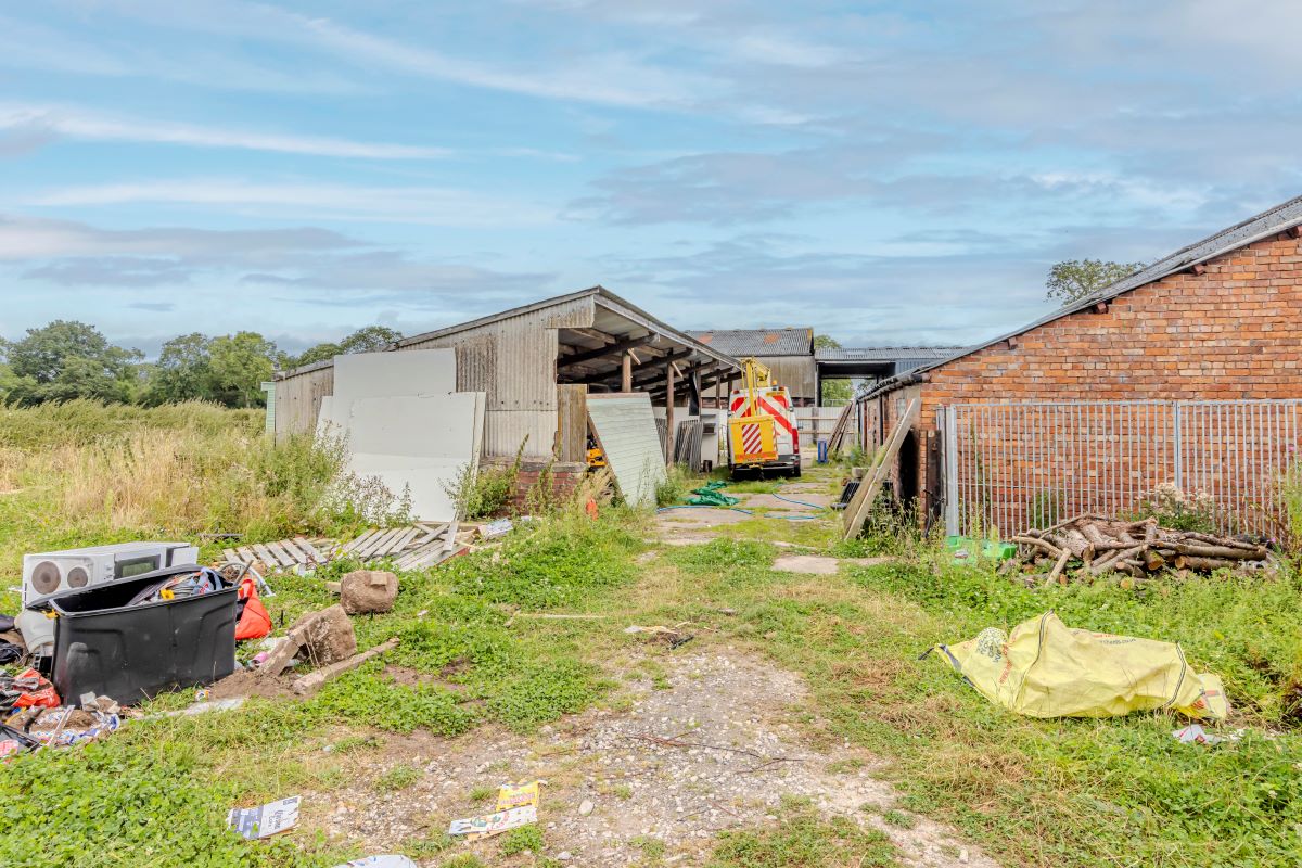 Lot Image