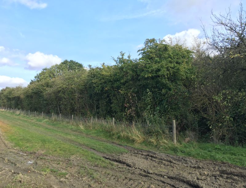 Land at Hardwick for sale at auction on 06 Dec 2017 0200 PM