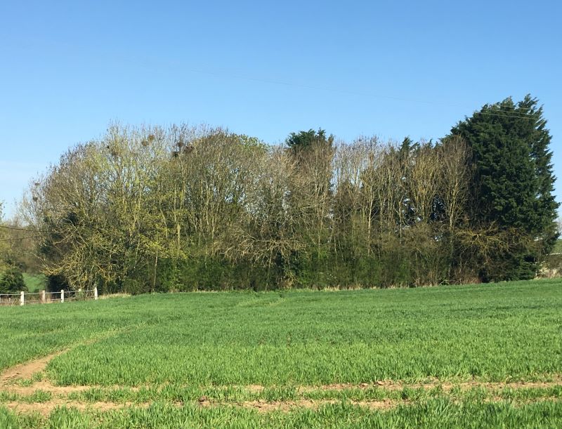 0.115 acres at Water End, Ashdon for sale at auction on 20 Jun 2018 02