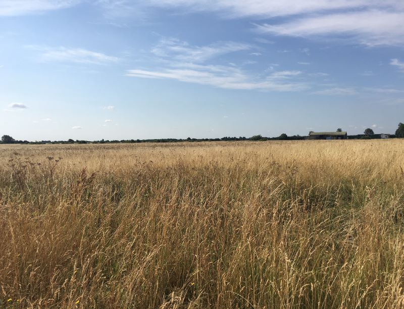 Land at Lockspit Hall Drove for sale at auction on 05 Dec 2018 02:00 PM