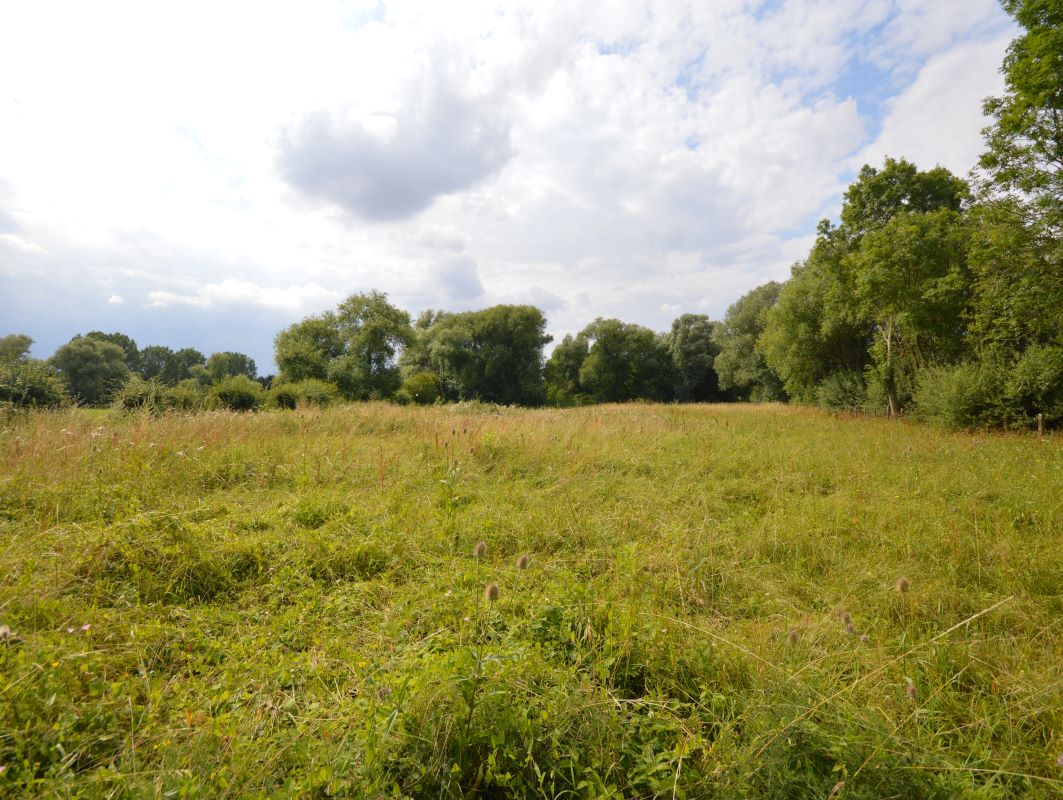 Land at Fenstanton for sale at auction on 15 Sep 2021 0200 PM