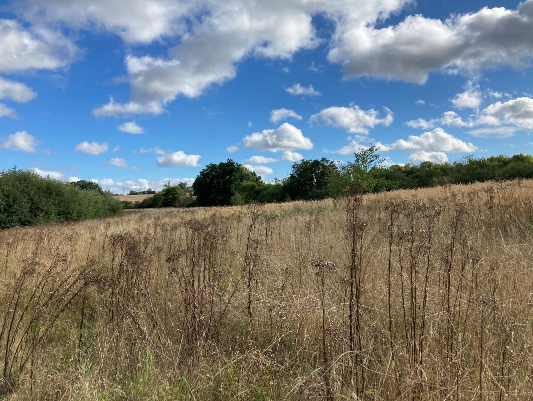 Creeting St Mary Land for sale at auction on 08 Dec 2021 0200 PM