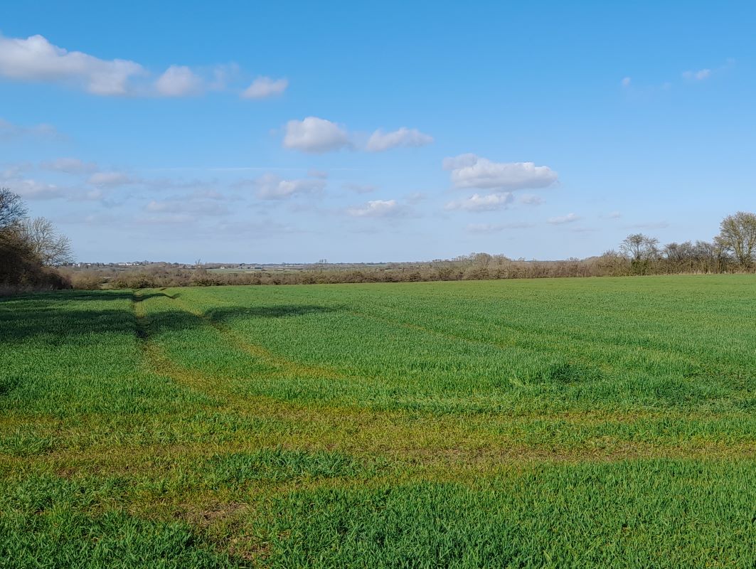 Old Fen Baulk Road for sale at auction on 21 Sep 2022 0200 PM