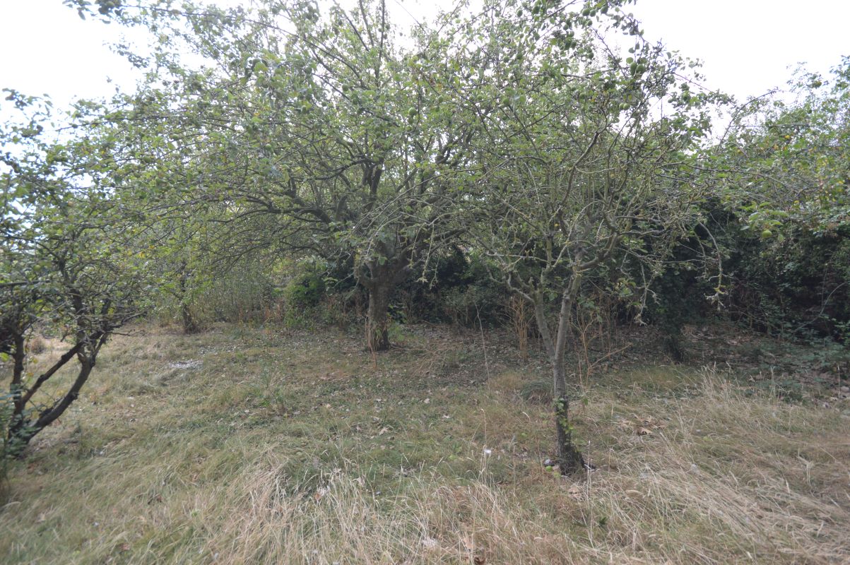 5 Oaklands Avenue, Wistow, Huntingdon, PE28 2QF