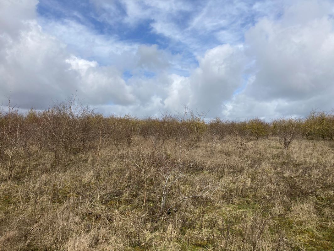 Land Gt Gransden for sale at auction on 14 Jun 2023 0200 PM