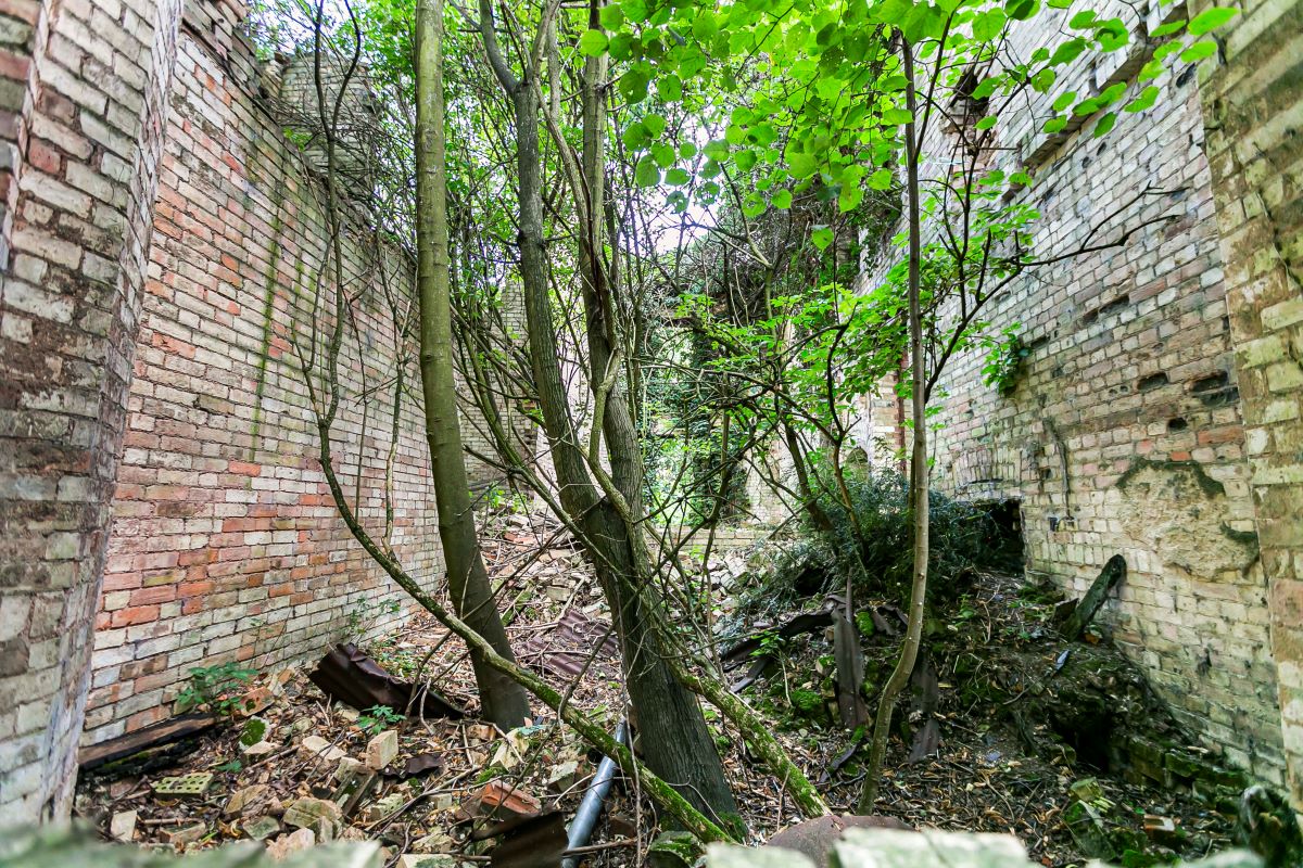 Redlands, Station Road, Longstanton, Cambridge, Cambridgeshire, CB24 3DS