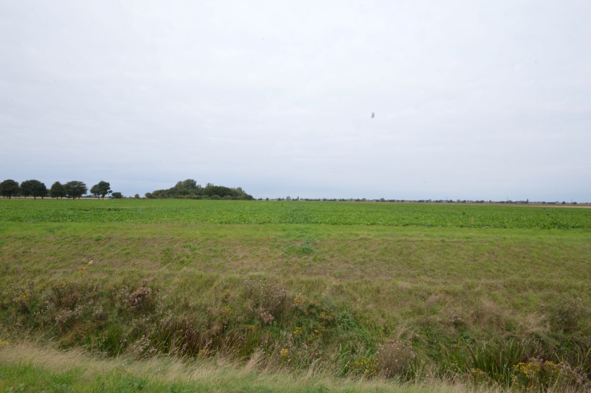 48.86 acres land off the B1101, Coldham, Wisbech, Cambridgeshire, PE14 0NF