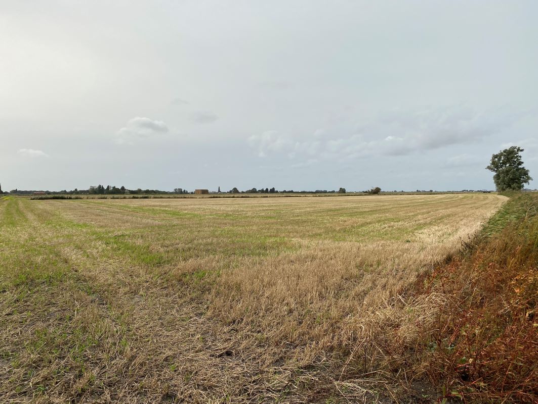 3.5 acres of Land off Third Drove, Little Downham, Ely, Cambridgeshire, CB6 1RD